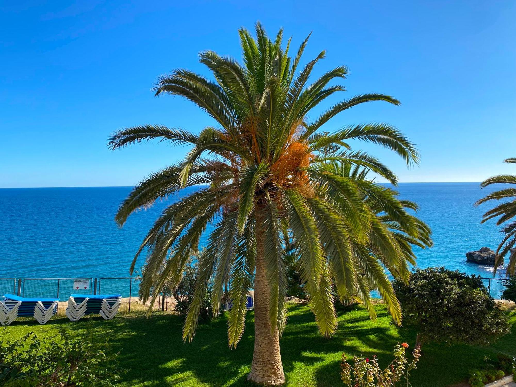 Tuhillo E1 Seaview Casasol Lägenhet *